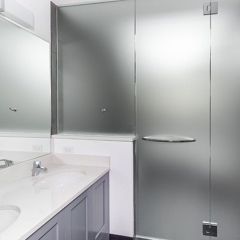 Frosted Glass Shower Door